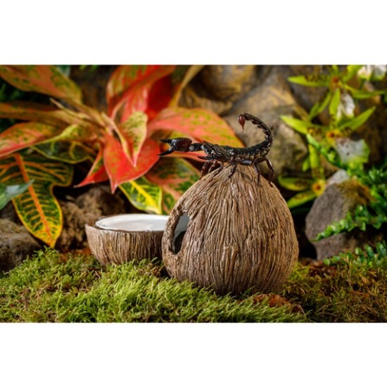Exo Terra Coconut Hide with Water Dish - 3