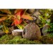 Exo Terra Coconut Hide with Water Dish - 3