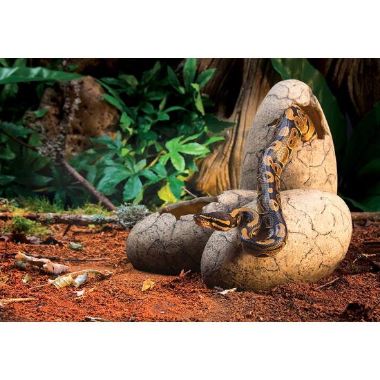 Динозавърско яйце Exo Terra Dinosaur Eggs Fossil Hide Out  - 3