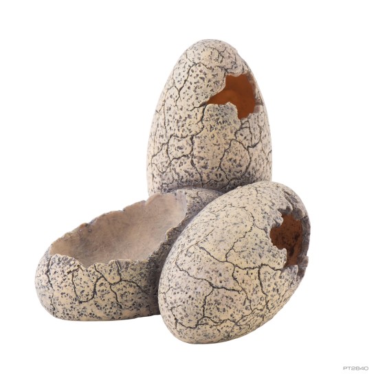 Exo Terra Dinosaur Eggs - Hide Out + Water Dish                       - 1