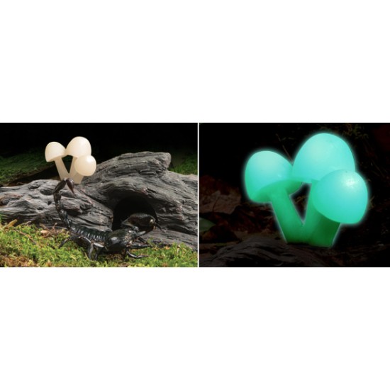 Exo Terra Glow Mushrooms - 2