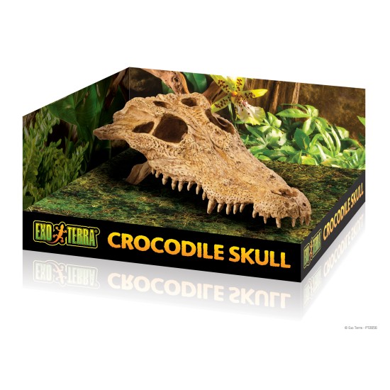 Exo Terra Skull decoration - 1