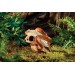 Exo Terra Skull decoration - 2