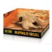 Exo Terra Skull decoration