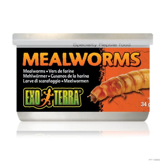 Консервирана храна Exo Terra Mealworms - 2