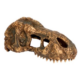 Декорация за терариум T-Rex Skull