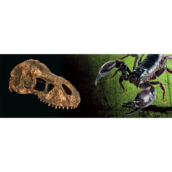 Декорация за терариум T-Rex Skull - 3