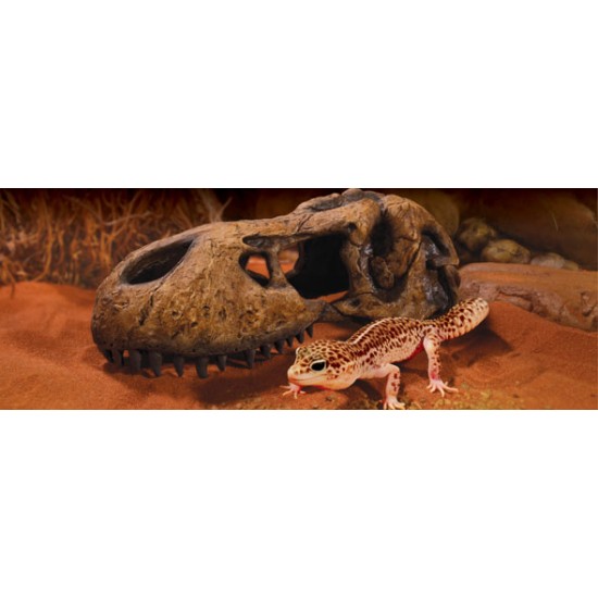 Декорация за терариум T-Rex Skull - 4