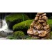Exo Terra Waterfall decorations - 4
