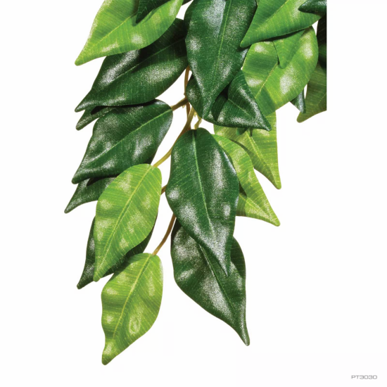 Exo Terra Silk Plant Ficus - 1