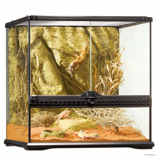 Terrarium Exo Terra Small Wide - 1