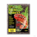 Exo Terra Rain Forest 8,8