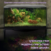 Aquarium Fluval Flex 123 - white - 3