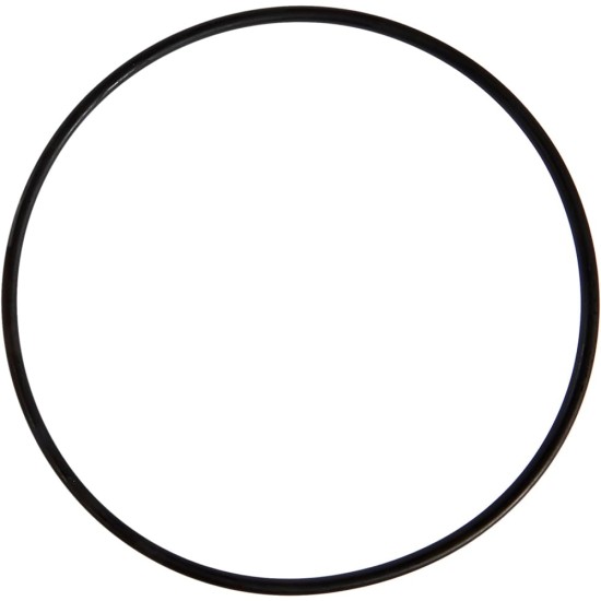 Fluval sealing ring - 1
