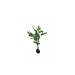 Artificial plant  20 cm