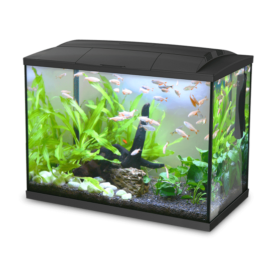 Aquarium Hailea K30 - black + 3 gifts - 1