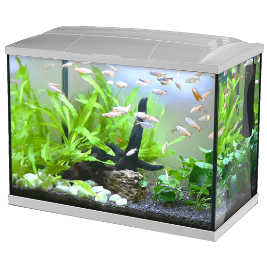 Aquarium Hailea K30 - white + 3 gifts - 1