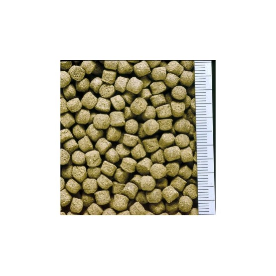 Hikari Cichlid Excel Sinking Mini Pellet 100g/342g - 2