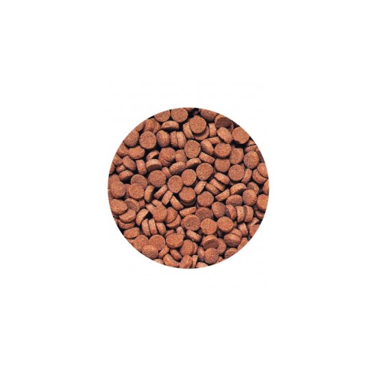 Hikari Carnivore Pellets - 2
