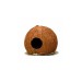 Декорация JBL Cocos Cava 1/2 L - 2
