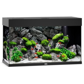 JUWEL RIO 125 LED Aquarium - Black