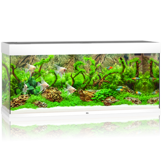 Aquarium JUWEL RIO 240 LED - white - 1