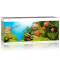 Aquarium JUWEL RIO 450 LED - white