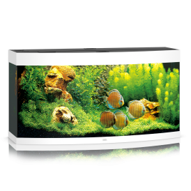 JUWEL Vision 260 LED Aquarium - white