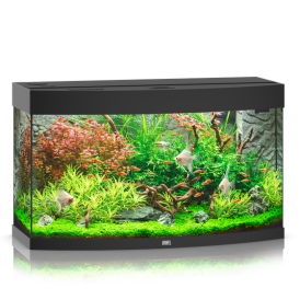 JUWEL Vision 180 LED Aquarium - Black