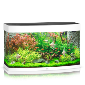 JUWEL Vision 180 LED Aquarium - white