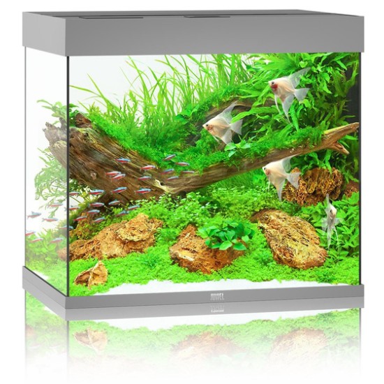 JUWEL Lido 200 LED Aquarium - gray - 1