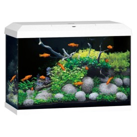 JUWEL Primo 70 Aquarium - white