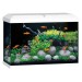JUWEL Primo 70 Aquarium - white