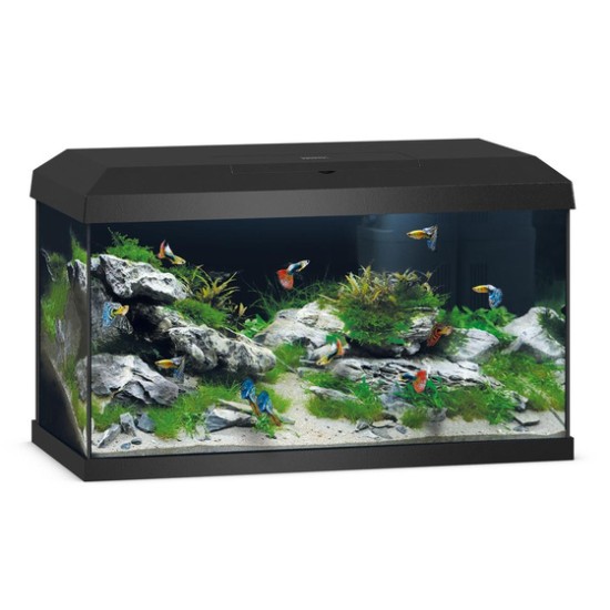 JUWEL Primo 60 Aquarium - Black - 1