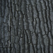 JUWEL STR 600 3D Background – Black