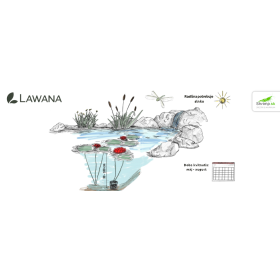 Водна лилия червена (Lawana Nymphaea Natura Coco Attraction)