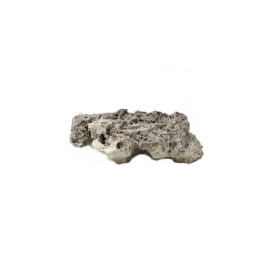 Reef rock, plate shape