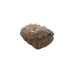 Reef rock, light
