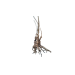 Корен Азалия - 3
