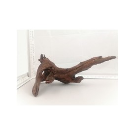 African root