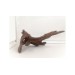 African root - 2