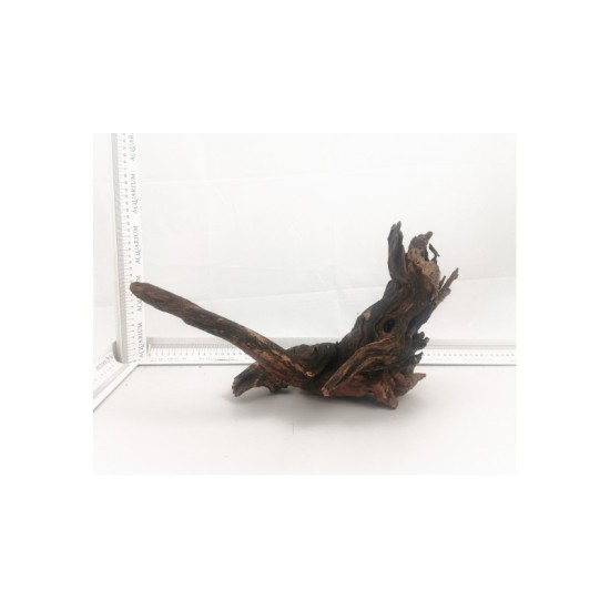 African root - 3