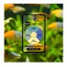SeaChem Ammonia Alert™ - 2