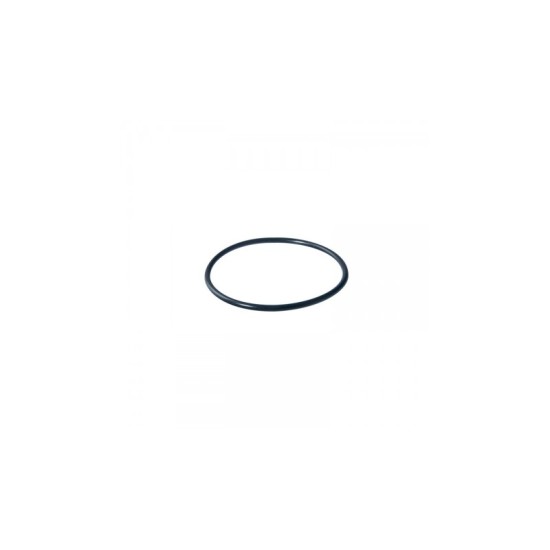 External filter adapter seal SunSun JHW-5000 - 2