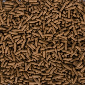 Turtle food Tropical Biorept Suprime Adult