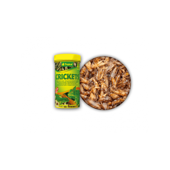 Сушени щурци за влечуги Tropical Crikets 250 мл / 25 гр - 1