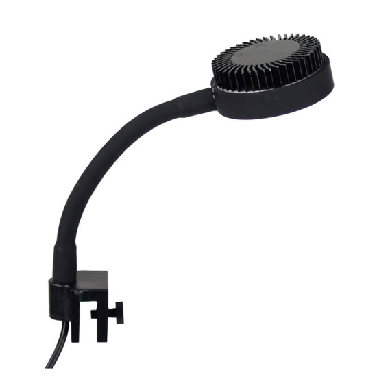 LED lighting ZetLight LED ZN1050 MINI  (white/blue) - 1