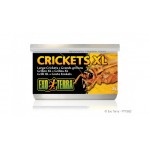 Canned Foods Exo Terra Crickets XL