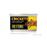 Canned Foods Exo Terra Crickets Small
