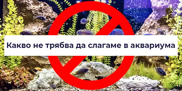Какво не трябва да слагате в аквариума